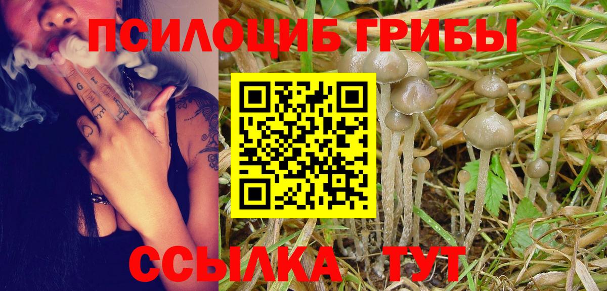 Курчатов  Галлюциногенные грибы GOLDEN TEACHER  Псилоцибиновые грибы Cubensis  Вход с VPN 