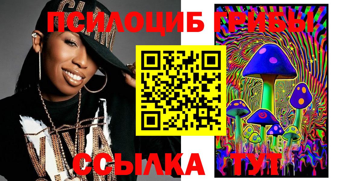 Галлюциногенные грибы Psilocybine cubensis Курчатов